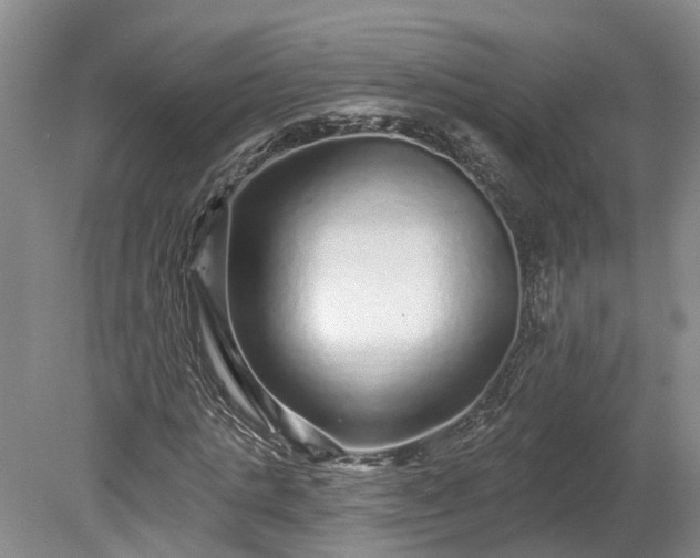 X0000078870821200611201337