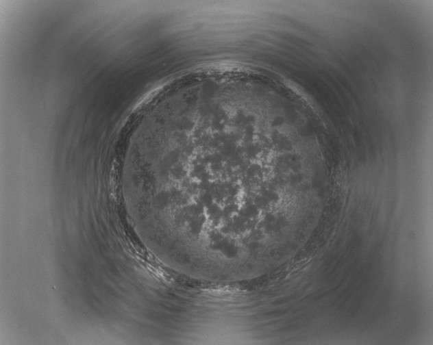 X0000078870823200611201337