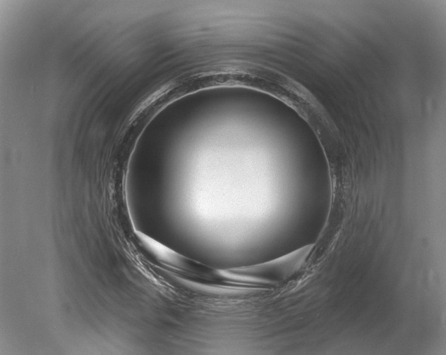 X0000078870826200611201337