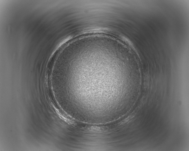 X0000078870827200611201337