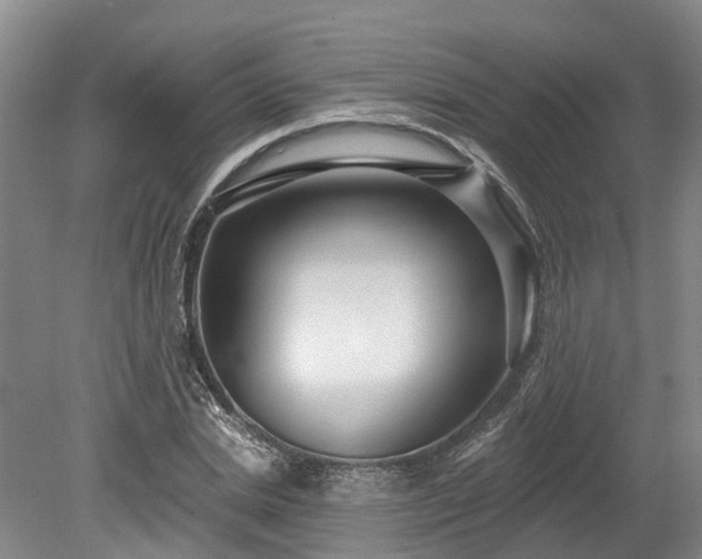 X0000078870830200611201337