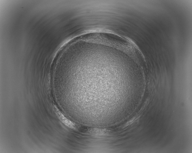 X0000078870831200611201337