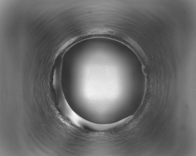X0000078870834200611201337