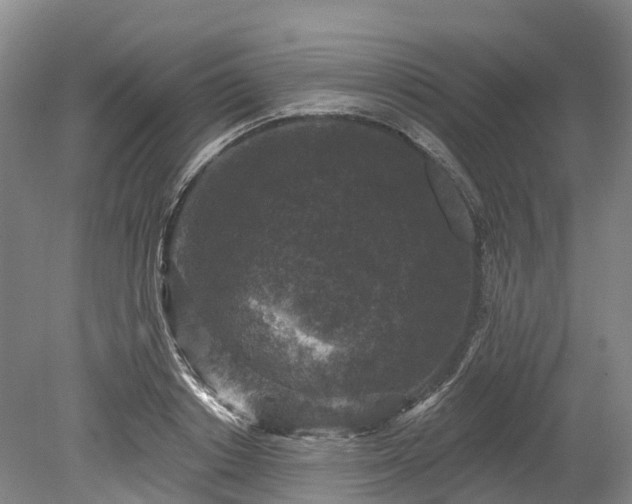 X0000078870842200611201337