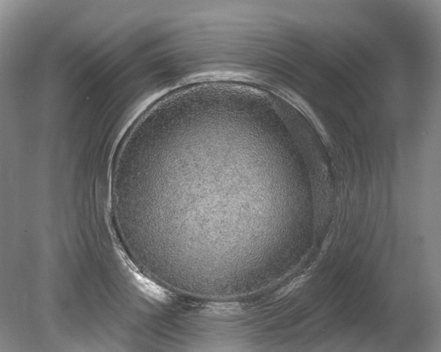 X0000078870844200611201337