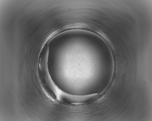 X0000078870850200611201337