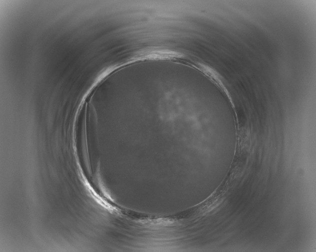 X0000078870851200611201337