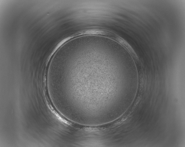 X0000078870852200611201338