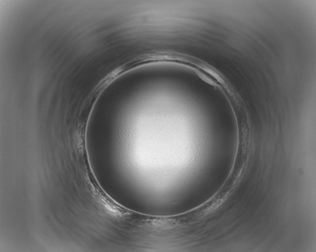 X0000078870857200611201338