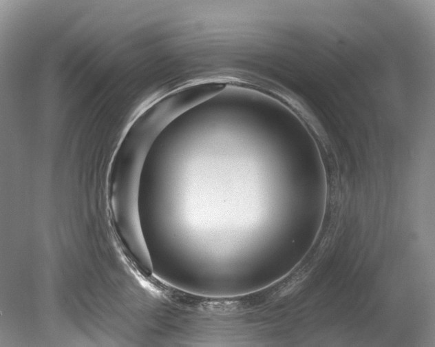 X0000078870858200611201338