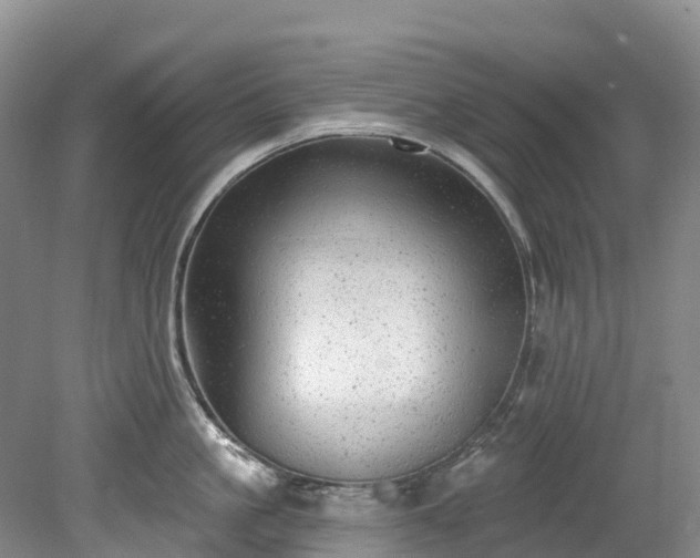 X0000078870861200611201338