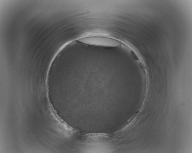 X0000078870864200611201338