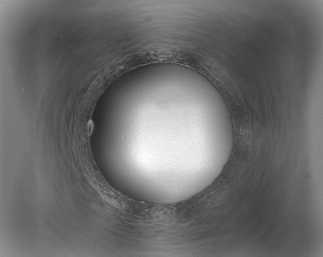 X0000078870865200611201337
