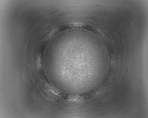 X0000078870866200611201337