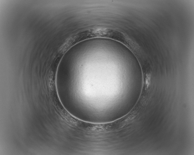 X0000078870867200611201337