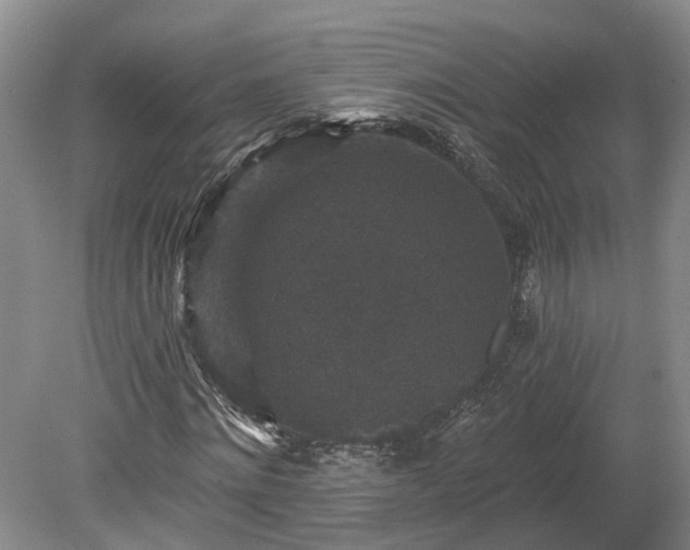 X0000078870868200611201337