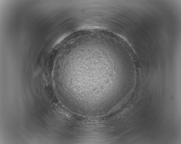 X0000078870871200611201337