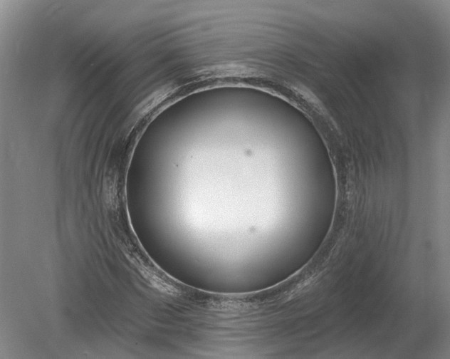 X0000078870873200611201337