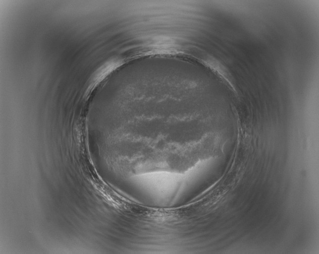 X0000078870874200611201337