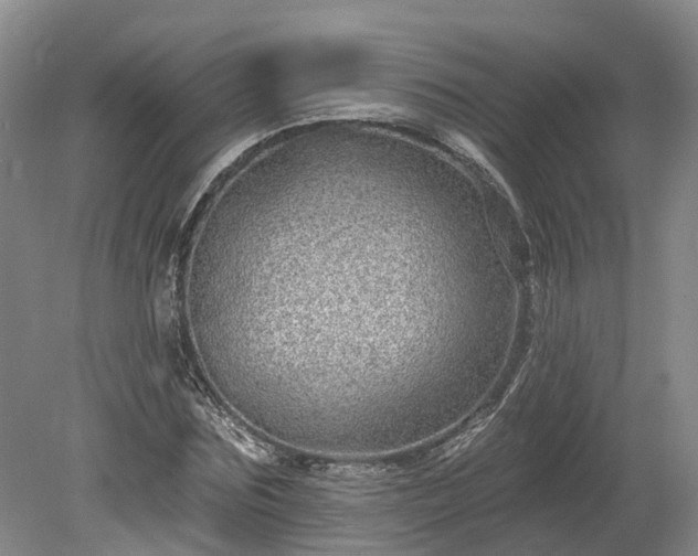 X0000078870875200611201337