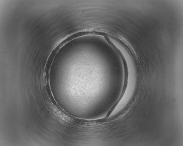 X0000078870876200611201337