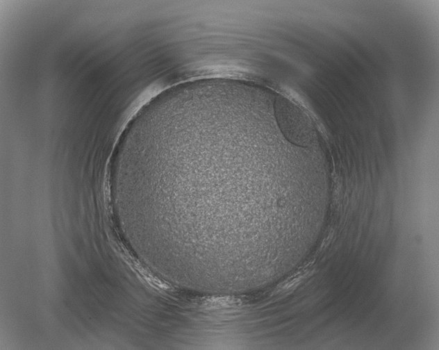 X0000078870883200611201337