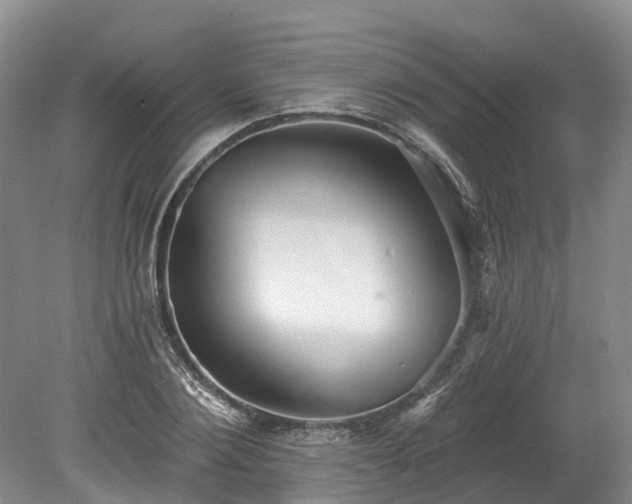 X0000078870884200611201337