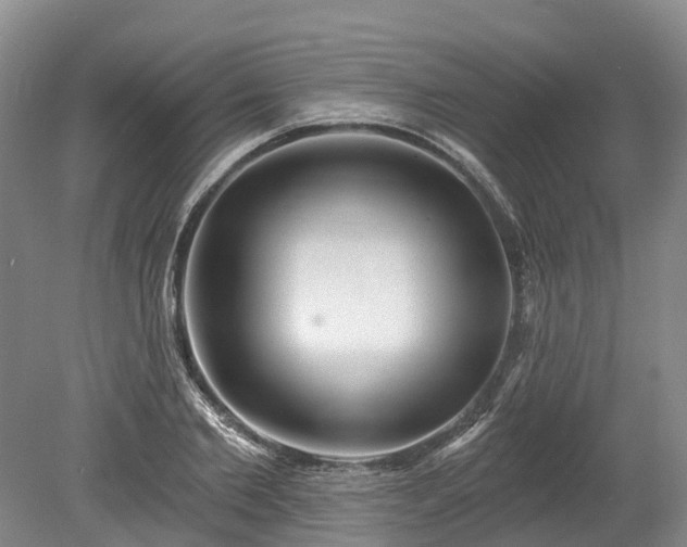 X0000078870885200611201337
