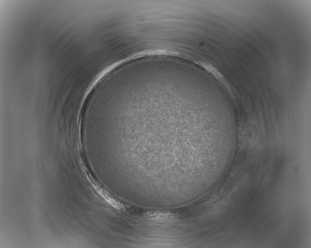 X0000078870886200611201337