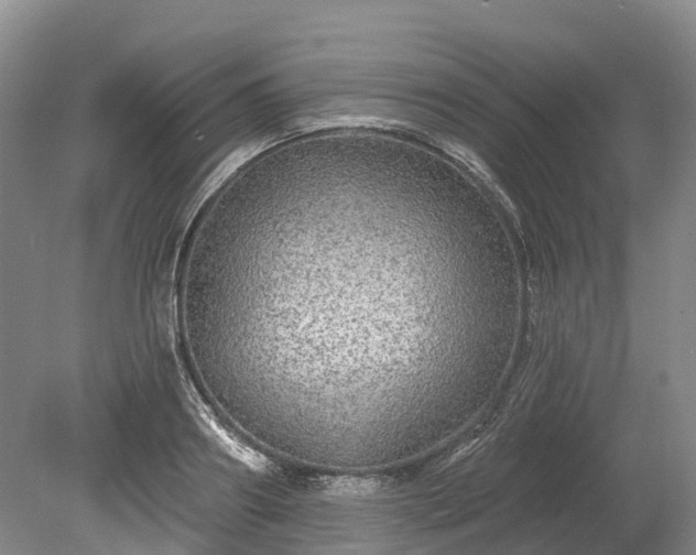 X0000078870890200611201336