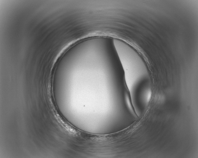 X0000078870896200611201336