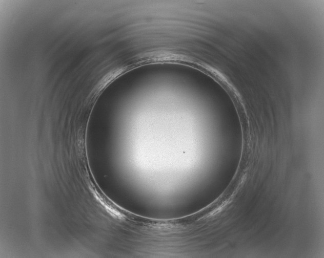 X0000078870897200611201336