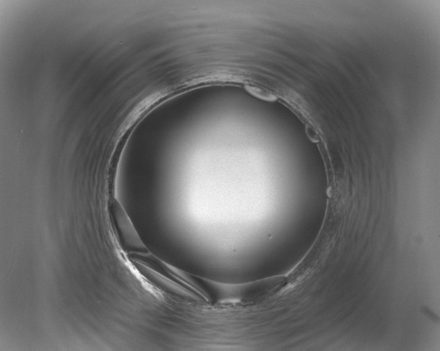 X0000078870898200611201336