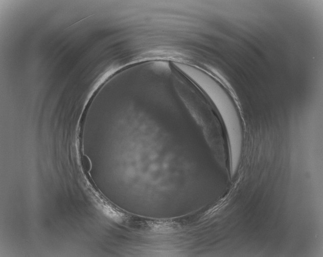 X0000078870899200611201336