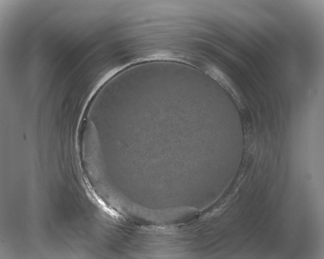X0000078870900200611201336