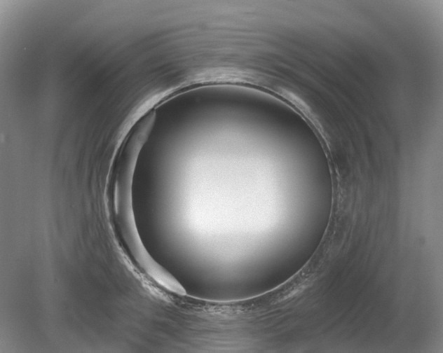 X0000078870901200611201336