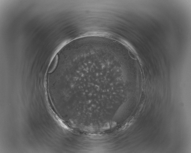 X0000078870907200611201336