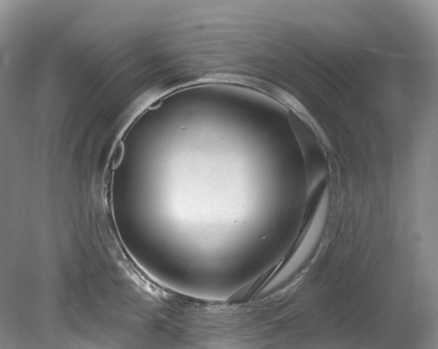 X0000078870908200611201336
