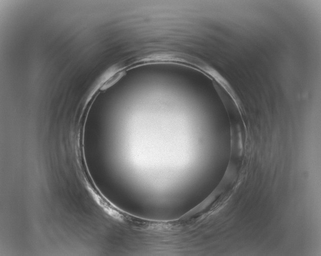 X0000078870909200611201336