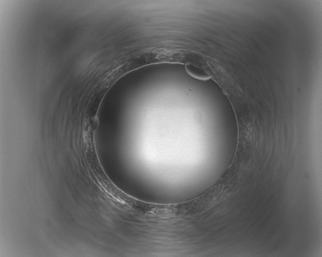 X0000078870914200611201335