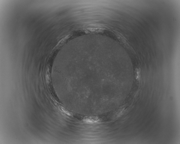 X0000078870915200611201335
