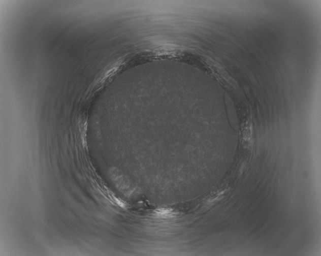 X0000078870916200611201335