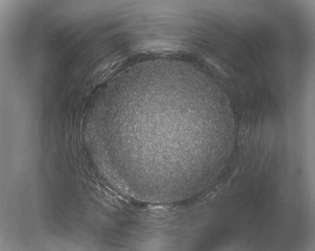 X0000078870917200611201335