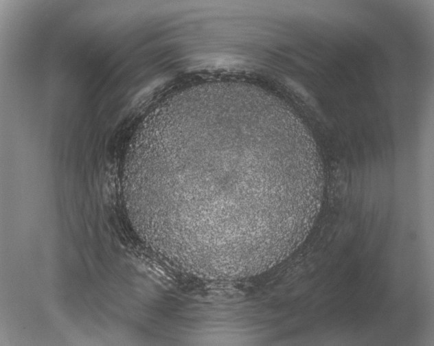 X0000078870918200611201335