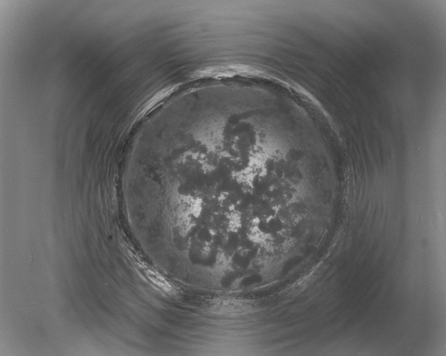 X0000078870921200611201335