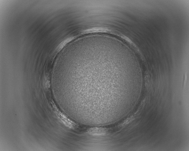 X0000078870929200611201336