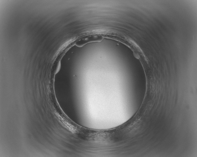X0000078870930200611201336