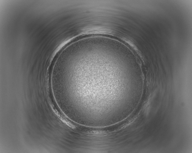 X0000078870933200611201336