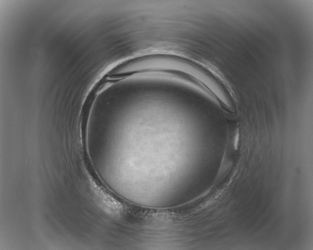 X0000078870934200611201336