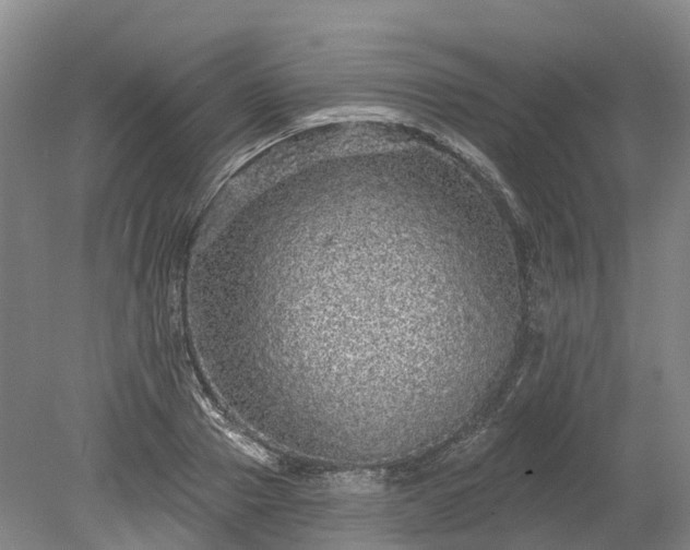 X0000078870937200611201336